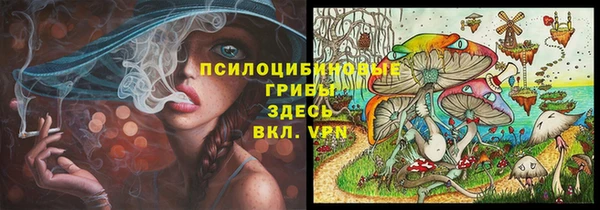 сатива Алзамай