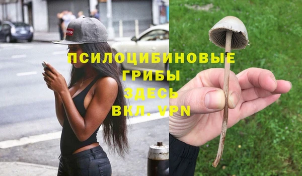 mdpv Алексеевка