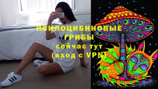 сатива Алзамай