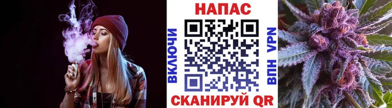 Конопля гибрид  Усть-Джегута 